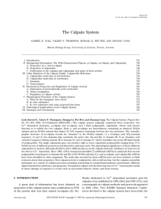 The Calpain System