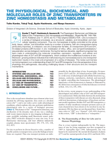 THE PHYSIOLOGICAL, BIOCHEMICAL, AND MOLECULAR ROLES OF ZINC TRANSPORTERS IN