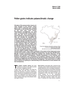 Pollen grains indicate palaeoclimatic change Sheet nº 239 March 2006