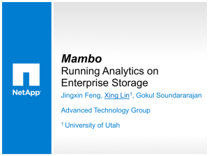 Mambo Running Analytics on Enterprise Storage ​