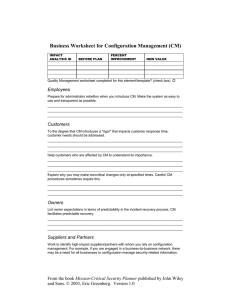 Business Worksheet for Configuration Management (CM) Employees