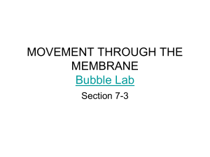 MOVEMENT THROUGH THE MEMBRANE Bubble Lab Section 7-3