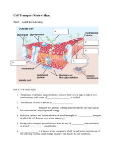 Cell Transport Review Sheet.  Part I – Label the following: