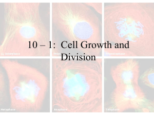 10 – 1:  Cell Growth and Division