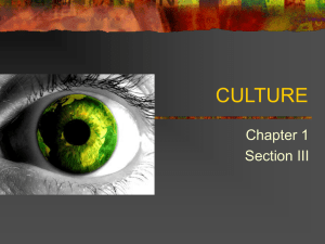CULTURE Chapter 1 Section III