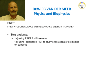 Dr.WIEB VAN DER MEER Physics and Biophysics FRET