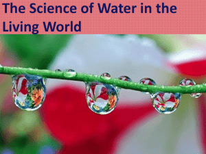 The Science of Water in the Living World