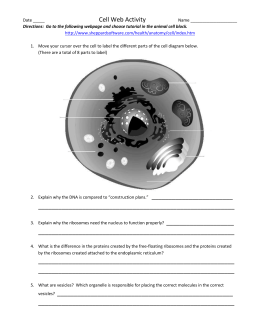 chapter 3 worksheet & reading guide – the cell