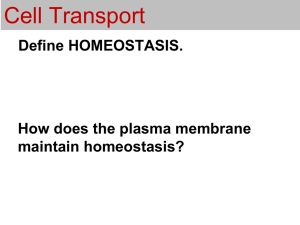 Cell Transport Define HOMEOSTASIS. How does the plasma membrane maintain homeostasis?