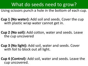 What do seeds need to grow?