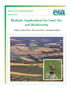 Biofuels: Implications for Land Use and Biodiversity Biofuels and Sustainability Reports January 2010