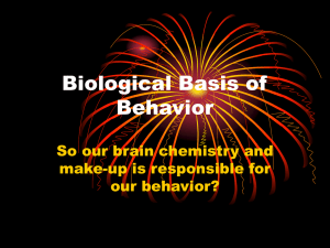 Biological Basis of Behavior So our brain chemistry and make-up is responsible for
