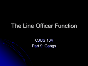 The Line Officer Function CJUS 104 Part 9: Gangs