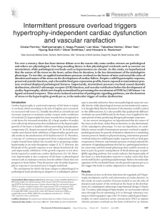 Intermittent pressure overload triggers hypertrophy-independent cardiac dysfunction and vascular rarefaction