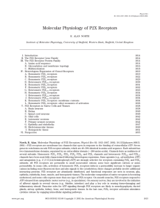 Molecular Physiology of P2X Receptors