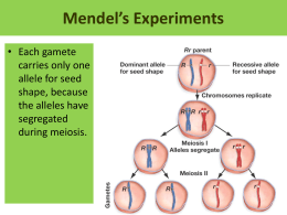 Genetics Matching Worksheet