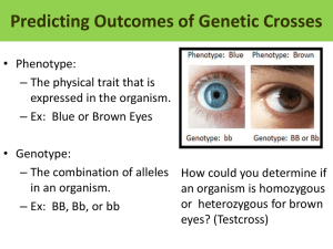 Predicting Outcomes of Genetic Crosses