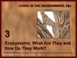 3 Ecosystems: What Are They and How Do They Work?