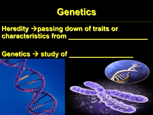Genetics Heredity characteristics from _____________________