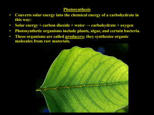 Photosynthesis this way: