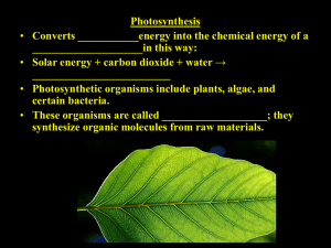 Photosynthesis ____________________in this way: _________________________ Converts ___________energy into the chemical energy of a