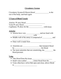Heart, Blood Vessesls and Blood Worksheet