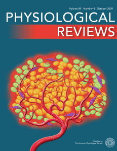 PHYSIOLOGICAL REVIEWS Volume 89   Number 4   October 2009