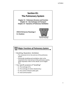 Section 01: The Pulmonary System