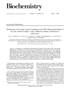Accelerated Publications sphaeroides Rhodobacter