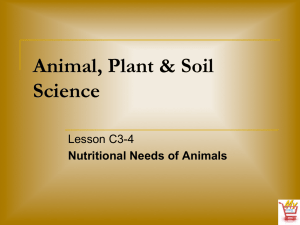 Animal, Plant &amp; Soil Science Lesson C3-4 Nutritional Needs of Animals