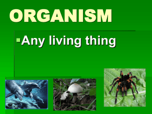 ORGANISM  Any living thing