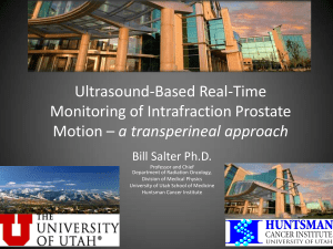 Ultrasound-Based Real-Time Monitoring of Intrafraction Prostate a transperineal approach Bill Salter Ph.D.