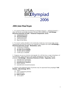 2006 Semi-Final Exam