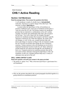 CH8.1 Active Reading Section: Cell Membrane