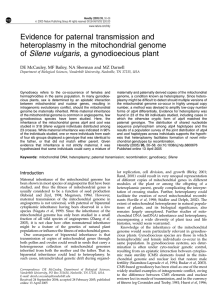 Evidence for paternal transmission and heteroplasmy in the mitochondrial genome
