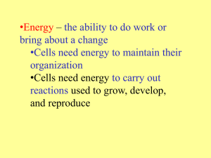 •Energy – •Cells need energy the ability to do work or