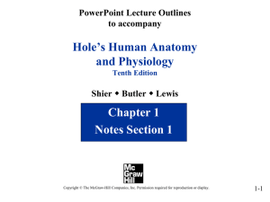 Hole’s Human Anatomy and Physiology Chapter 1 Notes Section 1