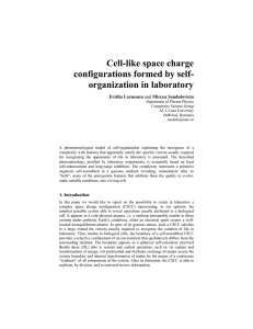 Cell-like space charge configurations formed by self- organization in laboratory Erzilia Lozneanu