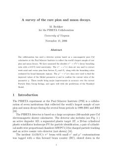 A survey of the rare pion and muon decays. M. Bychkov