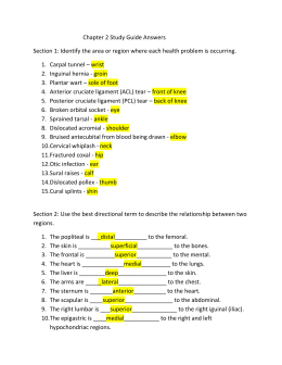 A&P – Chapter 1 – Directional Terms