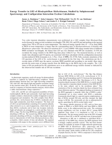 Rhodospirillum Molischianum Spectroscopy and Configuration Interaction Exciton Calculations