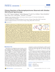 Primary Reactions of Bacteriophytochrome Observed with Ultrafast Mid-Infrared Spectroscopy