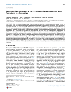 Article Functional Rearrangement of the Light-Harvesting Antenna upon State czyk,