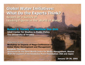 Global Water Initiatives: What Do the Experts Think? Leading Figures in the