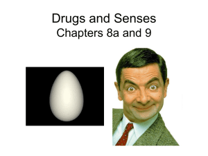 Drugs and Senses Chapters 8a and 9