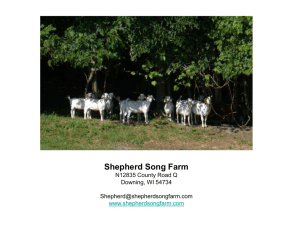 Shepherd Song Farm N12835 County Road Q Downing, WI 54734