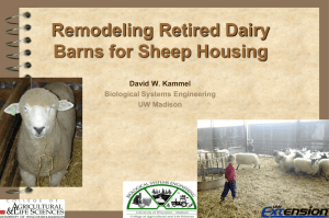 Remodeling Retired Dairy Barns for Sheep Housing David W. Kammel Biological Systems Engineering
