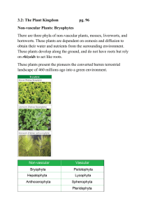 3.2: The Plant Kingdom  pg. 96 Non-vascular Plants: Bryophytes