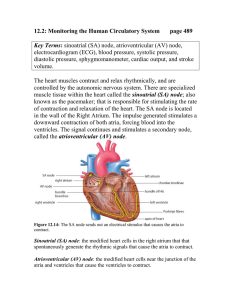12.2: Monitoring the Human Circulatory System page 489  Key Terms