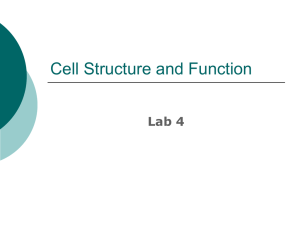 Cell Structure and Function Lab 4